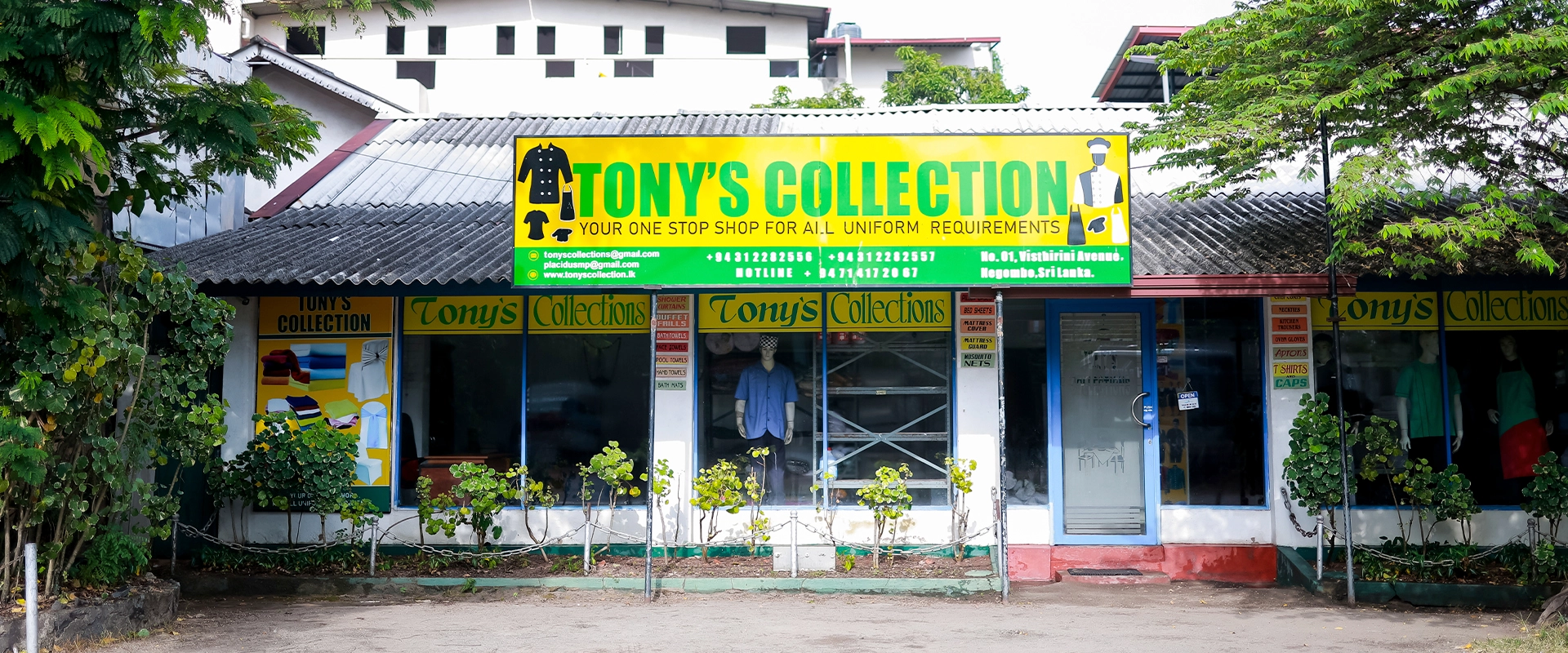 Tony's Collection